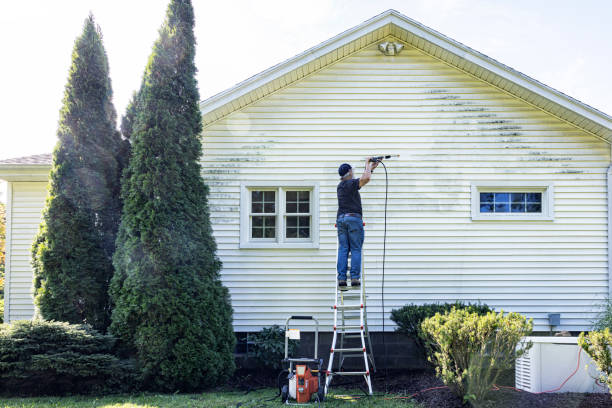 Why Choose Our Certified Pressure Washing Experts for Your Project Needs in University, MS?