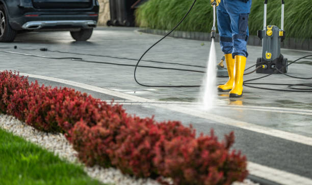 Best Residential Pressure Washing Services  in University, MS